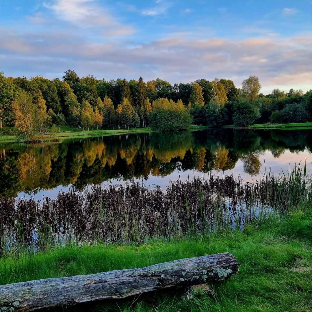 Tallhojden Hotel & Cottage Lodge Simlångsdalen Zewnętrze zdjęcie