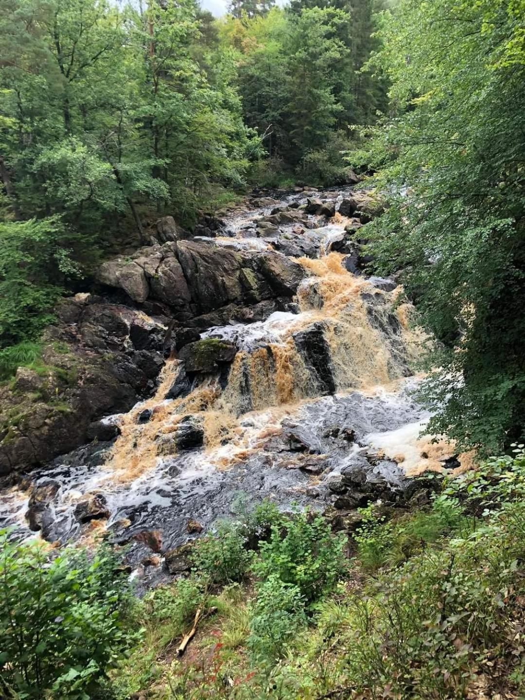 Tallhojden Hotel & Cottage Lodge Simlångsdalen Zewnętrze zdjęcie